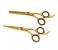 Tips & Toes TT-661&662 Stainless Steel Professional Barber Shear Kit, Gold Titanium Coated 1 in UAE