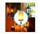 Cindrella Energy Saving Smd Led Flame Light Bulb 4 in OMAN
