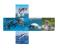 V-Cube 00.0257 Dolphins - 2 Pillow Multicolor 2 in UAE
