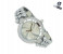 Catwalk CW-979 Genuine quality Fashionable Cz Watch For Women Silver 1 in UAE