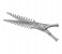 Tips & Toes TT-611 Stainless Steel 2 in 1 Professional Barber Razor Shears - Polish Finish 2 in OMAN
