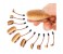 Rio BRCH Oval Cosmetic Brush Collection 1 in UAE