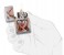 Zippo 29294 250 Playboy Lighter Multicolor 4 in UAE