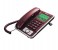 Sanford SF350TL Telephone 1 in UAE