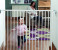 Safety 1st 24384310 Wall-Fix Extending Metal Door Gate - White 2 in UAE