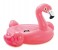 Intex ZX-57558 Flamingo Ride-On 1 in UAE