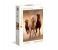 Clementoni 39168 High Quality Collection Running Horses Adult Puzzle - 1000 Pieces 1 in UAE