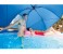Intex ZX-28050 Pool Canopy 3 in UAE