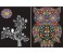 Color Velvet C21 Binder Rings Owl Coloring System Multi Color 1 in UAE