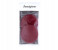 Beautytime N11029059A 2 Pieces Sensitive Exfoliating Sponges - Red 1 in UAE