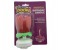 Party Time R-140582 Flower Musical Birthday Candle Red 1 in UAE