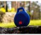 Clip Plus Super Bass Wireless Bluetooth Speaker 2 in UAE