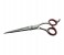 Tips & Toes TT-689 Stainless Steel Professional Barber Razor Shears - Polish Finish 3 in OMAN