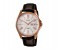 Casio MTP-1384L-7ADF Mens Analog Watch Brown and Gold 1 in UAE