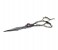 Tips & Toes TT-685&686 Stainless Steel Professional Dragon Barber Shear Kit - Polish Finish 2 in UAE