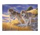 Clementoni 35033 High Quality Collection The Wolves Adult Puzzle - 500 Pieces 2 in UAE