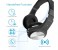 Promate Tango-Bt Foldable On-Ear Wireless Stereo Headset with Built-In Music Controls, Black 6 in UAE