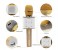 Promate VocalMic-1 Portable Wireless Bluetooth Microphone with Karaoke Player, Gold 4 in UAE