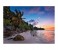 Clementoni 95984 High Quality Collection Tropical Idyll Adult Puzzle - 1000 Pieces 2 in UAE