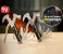 18 in 1 Stainless Steel Tac Tool TT181 Image