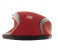 Platinum Wireless Mouse Assorted Color 5 in UAE
