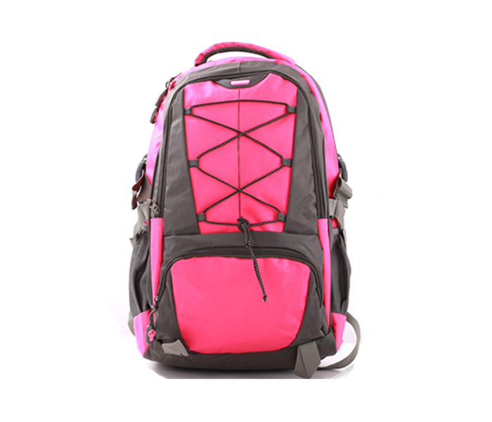 Para John PJBP6564A21 21-inch BackPack - Dark Grey & Fuschia - Zoom Image