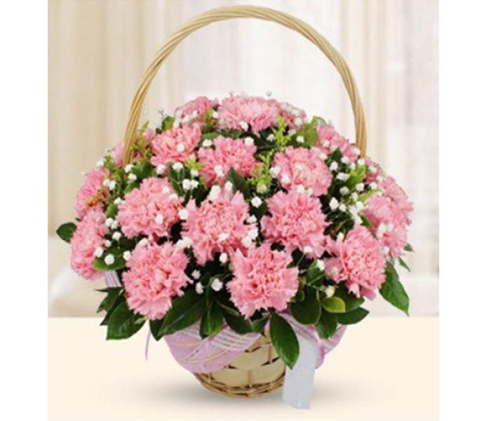 Arabian Florist Dreamland Pink Carnations - 30 Pieces - Zoom Image