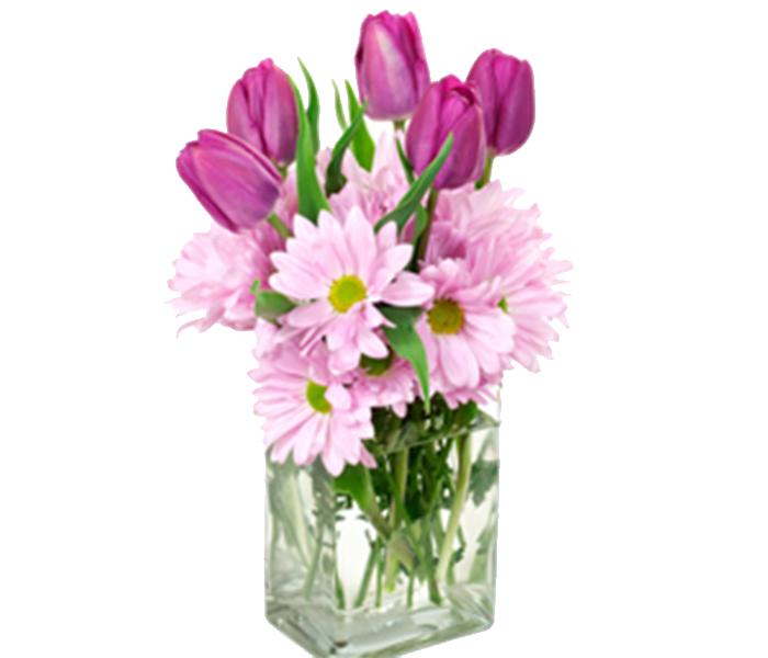 Arabian Florist 12 Pieces Sweet and Simple Pink Tulips & Pink Carnations Bouquet - Zoom Image