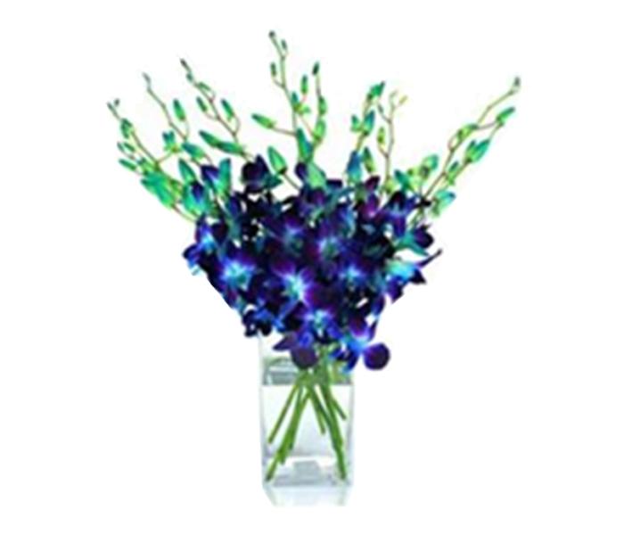 Arabian Florist 20 Pieces Orchid Flowers - Blue - Zoom Image