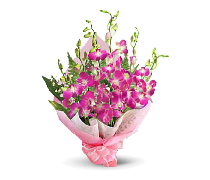 Arabian Florist Sonia Orchid Flowers - Pink, 8 Pieces - Zoom Image