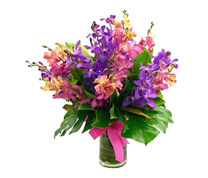 Arabian Florist 12 Stems Arabian Nights Orchid Flowers - Zoom Image