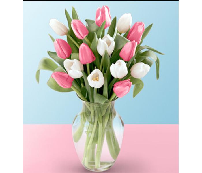 Arabian Florist 16 Pieces Pink & White Tulips Together with Vase Bouquet - Zoom Image