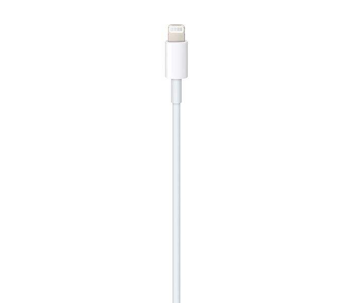 Apple MQGJ2ZM/A 1m Lightning to USB Type-C Cable - White - Zoom Image 2