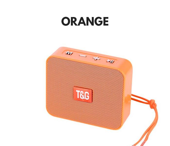 tg 166 speaker