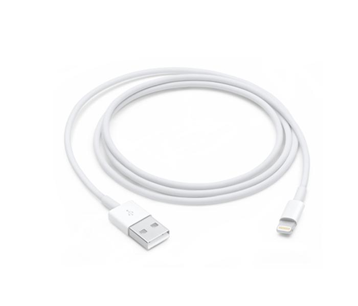 Apple iphone lightning to USB cable (1M) - Zoom Image 1