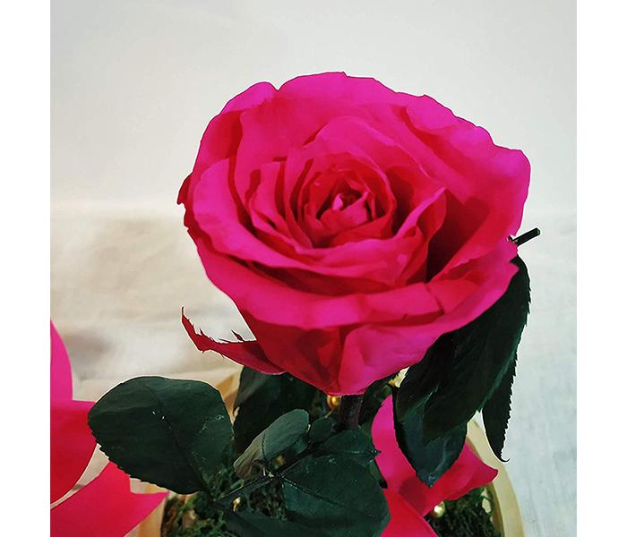 KMTE New Long life Preserved Rose with Fallen Petals in a Glass for Couples - Zoom Image 1