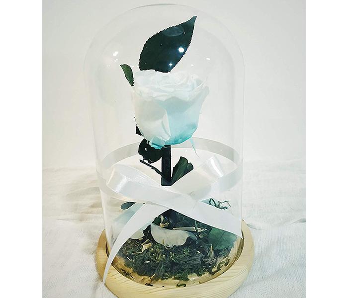 KMTE Long Life Preserved Roses with Fallen Petals in a Glass Dome - Tiffany Blue - Zoom Image 2