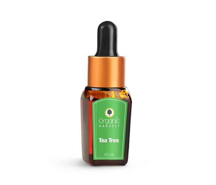 Organic Harvest Tea Tree Essential Oil - 10ml - Zoom Image 2