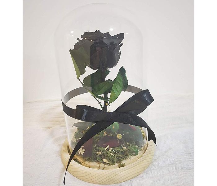 KMTE Valentines Gifts Long life Preserved Roses with Fallen Petals in a Glass - Black - Zoom Image 2