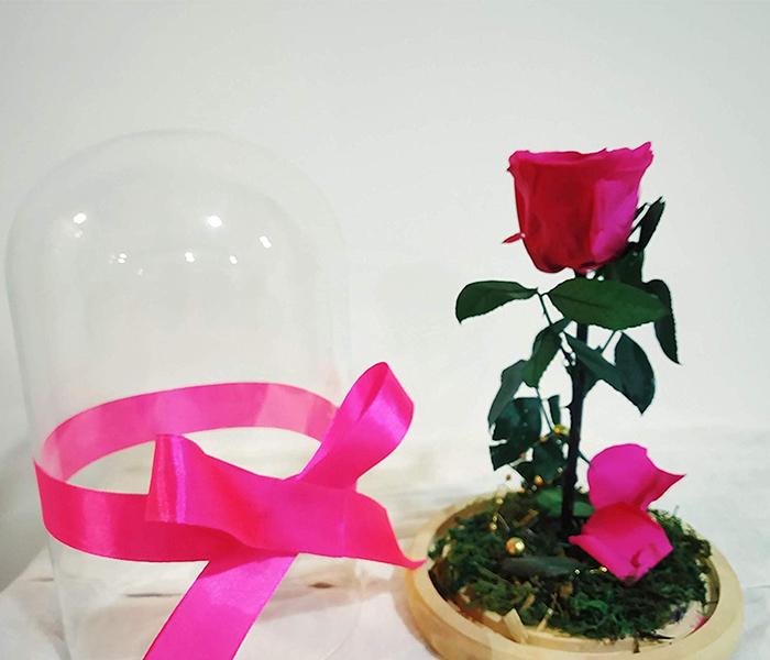 KMTE New Long life Preserved Rose with Fallen Petals in a Glass for Couples - Zoom Image 3