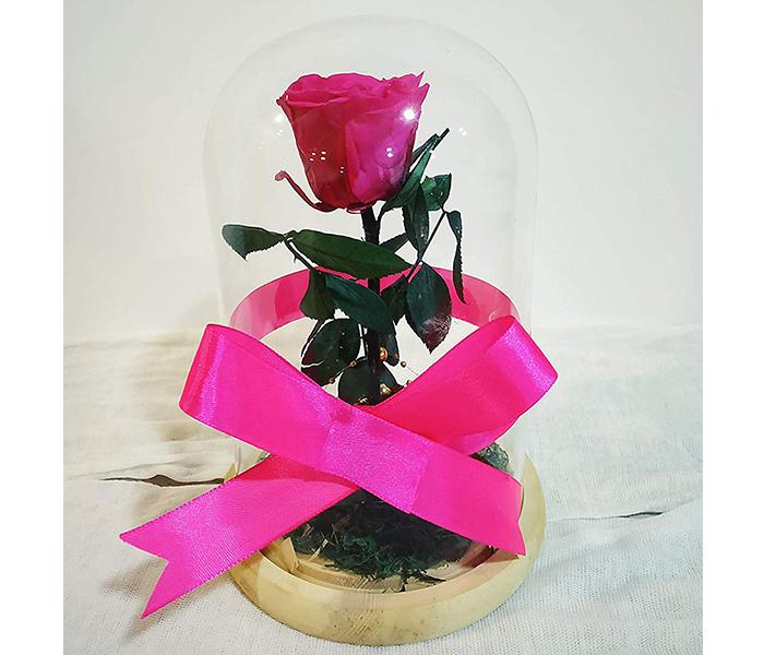 KMTE New Long life Preserved Rose with Fallen Petals in a Glass for Couples - Zoom Image 2