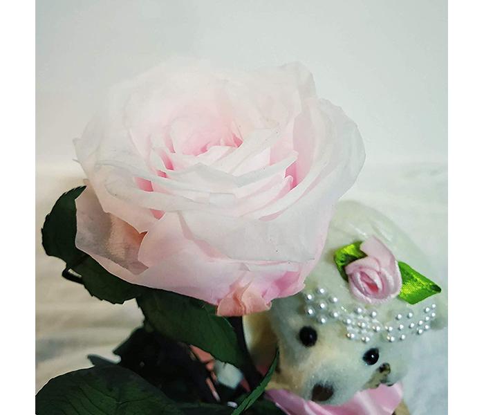 KMTE Valentines Gifts Long life Preserved Roses with Fallen Petals in a Glass - Pink - Zoom Image 1