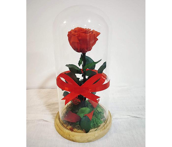 KMTE Christmas Gift Long life Preserved Fresh Flower with Fallen Petals in a Glass - Red - Zoom Image