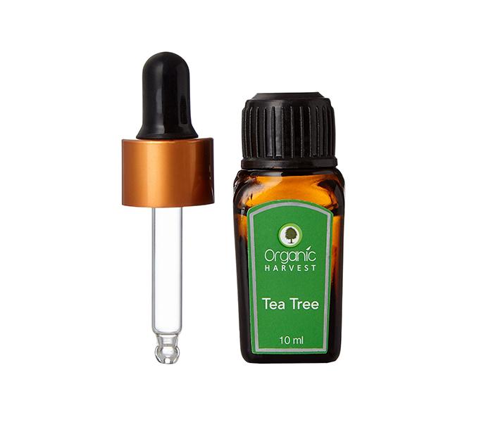 Organic Harvest Tea Tree Essential Oil - 10ml - Zoom Image 3