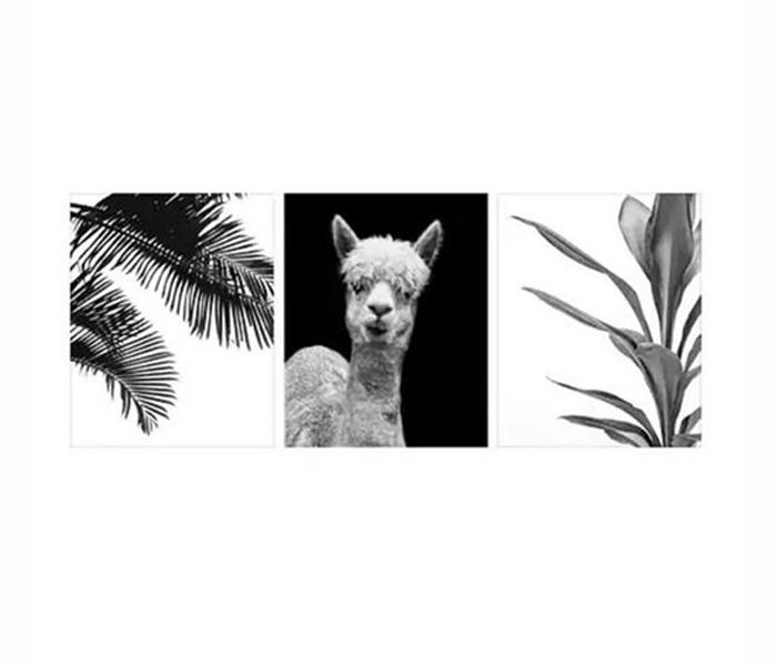 Ikea MX-27019481 3-Piece Alpaca Bild Poster - 40x50 cm - Zoom Image