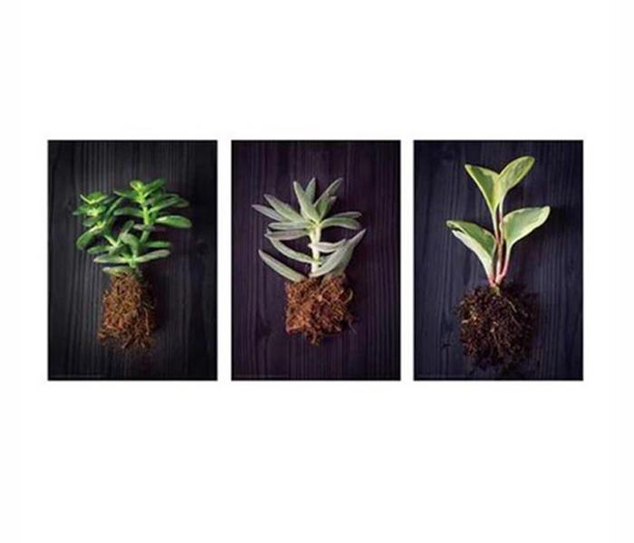 Ikea MX-27019478 3-Piece Cuttings Bild Poster - 21x30 cm - Zoom Image