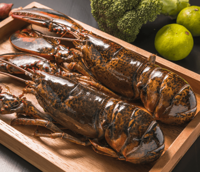 Live Lobster Medium (1000 gm) - Zoom Image