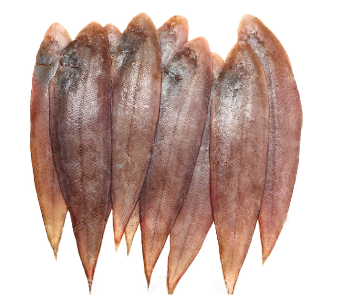 Sole Fish / Manthal / Repti (Medium) (500 gm) - Zoom Image