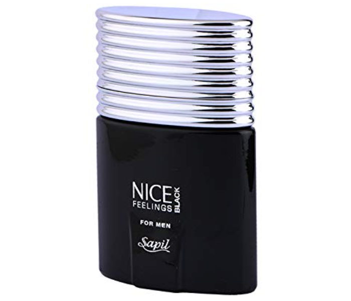 Sapil 200ml Nice Feelings Black Perfumed Deodorant for Men - Zoom Image