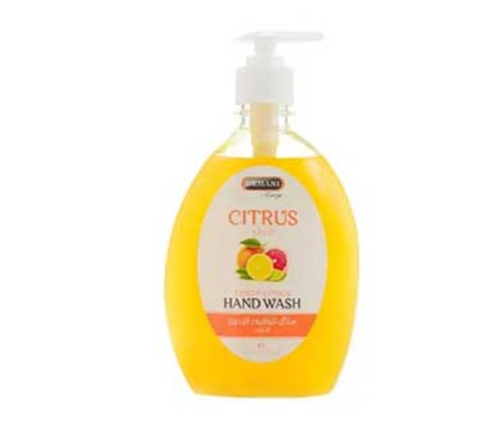 WB By Hemani Hand Wash Citrus - Zoom Image